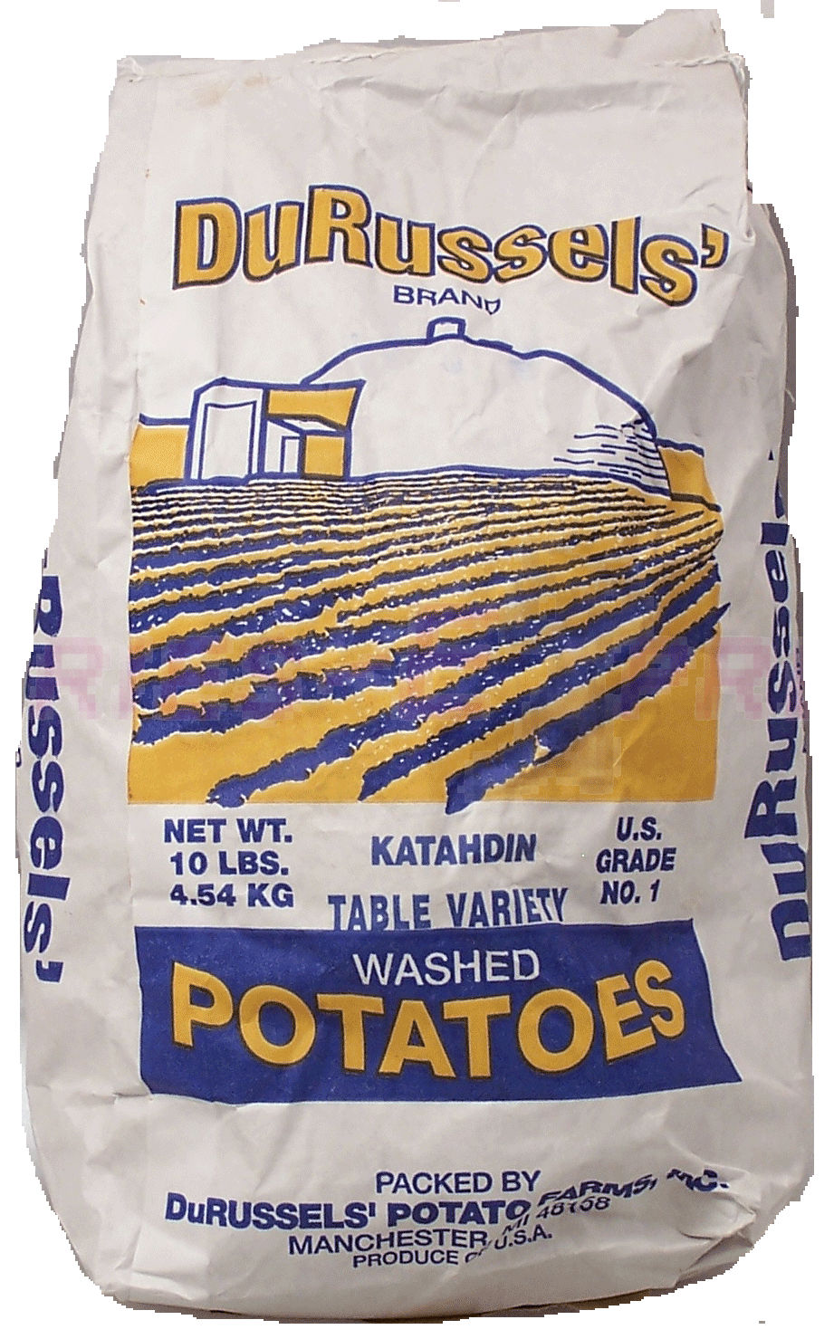 DuRussels'&nbsp;&nbsp;table variety washed potatoes Full-Size Picture